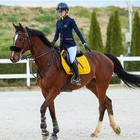 Fabricant de chaussettes d'équitation unisexes légères et respirantes de haute qualité avec logo personnalisé Chaussettes d'équitation unisexes pour sports équestres