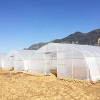 Serre tunnel agricole économique pour la culture de fruits, système hydroponique avec table de culture, serre en film plastique pour pastèques