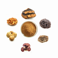 6 1 poudre de mélange de superaliments de qualité alimentaire extrait de champignon puissant Lions Mane Reishi Cordyceps Chaga queue de dinde Maitake eau
