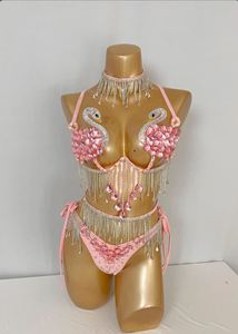 Nuovo Costume Sexy da Carnevale Samba <span class=keywords><strong>con</strong></span> <span class=keywords><strong>Reggiseno</strong></span> e Slip Fatti a Mano <span class=keywords><strong>con</strong></span> Pietre, Cigno Rosa <span class=keywords><strong>con</strong></span> Cintura per Feste EDC - Product Image 3