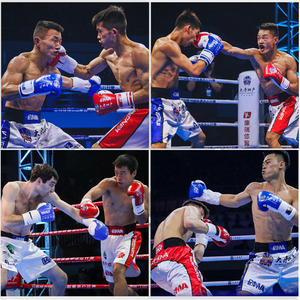 Cage <span class=keywords><strong>de</strong></span> combat libre MMA, anneau <span class=keywords><strong>de</strong></span> boxe octogonal et hexagonal debout pour la lutte, entraînement <span class=keywords><strong>de</strong></span> lutte MMA - Product Image 3