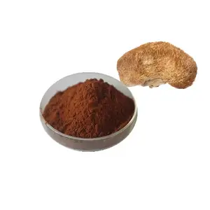 Natural Herbal Hericium Erinaceus Powder 30%Polysacchrides Lions Mane Extract Powder