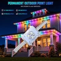 Lumières LED 48V en PVC en forme de méduse, éclairage permanent à points, IP68, pour extérieur, Noël, 200ft 300ft 400ft, éclairage de pignon