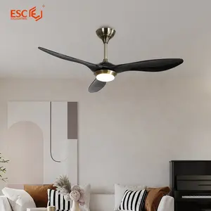 Factory Direct Quiet Copper Motor Ceiling Fans 3 Blade 52 Inch Abs Blades Bldc Ceiling Fan With Light Home