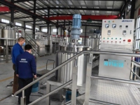 Homogénéisateur-mélangeur industriel à faible consommation d'énergie et faible bruit de 500 L avec nettoyage CIP pour ligne de fabrication de détergent et de gel douche