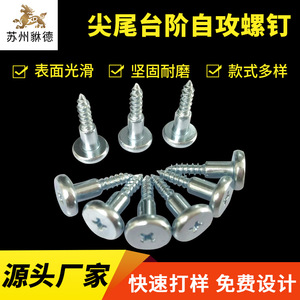 Custom Made Pointed Tail Step Self Tapping Screws 5.5 5.4 5.3x20 Stainless Steel Phillips Round Head Metric ST4.0 - Product Image 5