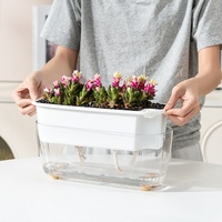 Pots à plantes succulentes blancs durables avec plateau, en plastique transparent respirant, auto-absorbants, pour culture hydroponique, décoration