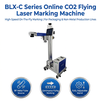 Machine de marquage laser CO2 Flying Style : Impression efficace en un seul passage des dates de production et des codes de lots sur les bouteilles de boissons en grande quantité