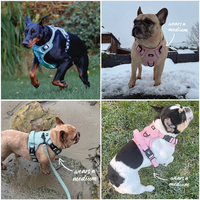 Harnais de luxe en velours côtelé pour chien, réglable, anti-traction, design aventure, personnalisable, lavable, avec laisse et sacs à déjections