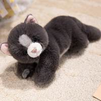 Peluche personnalisée populaire et mignonne en trois couleurs, chat persan, cadeau d'anniversaire, jouet en peluche
