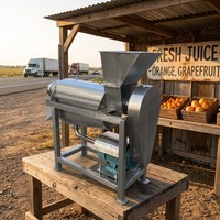 Spiraalvormige sapcentrifuge van roestvrij staal, fruit- en groenteschroefpers voor biologische ananassap