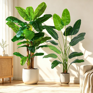 Arbre <span class=keywords><strong>bananier</strong></span> artificiel : Plante tropicale en soie de 1,80 m avec feuilles de <span class=keywords><strong>Musa</strong></span>, pour <span class=keywords><strong>intérieur</strong></span> et extérieur, <span class=keywords><strong>d</strong></span>écoration de hôtel, bureau, patio, vente en gros - Product Image 1