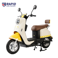 500w vélo électrique Scooter cyclomoteur vélo électrique vélo électrique Ebike cyclomoteur avec 2 sièges