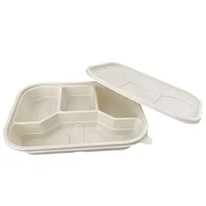 Wholesale 3 4 5 Compartment Eco Friendly Biodegradable Cornstarch Takeaway Bento Lunch Box Food Container With Lid