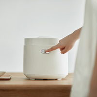 Cuisinière à riz de haute qualité, multicuiseur, 2L, mini-cuisinières à riz électriques pour un usage domestique