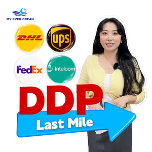 Ever Ocean Shipping Agent Ddp Services de livraison porte à porte Service de courrier express logistique mondial aérien au camion États-Unis Canada - Product Image 1