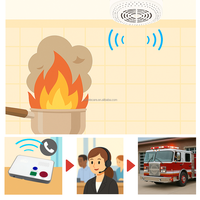 Système de sécurité domestique intelligent tout-en-un avec détection de fumée haute sensibilité 4G LTE pour les personnes âgées et les appels d'urgence SOS
