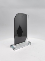 Trophée en verre courbé noble pour la reconnaissance de l'hôtellerie, logo gravé personnalisé, texte personnalisé, cadeau personnalisé