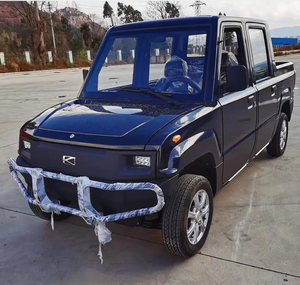 Chinese Affordable Low Speed Electric Car Pickup for Golf Course