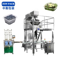 Automatische Multihead Frozen Fruit Tray Box Vulmachine Verse Groenten Salade Clamshell Packing Machine