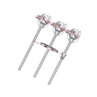 Thermocouple en platine-rhodium de type S/B/R haute température, thermocouples de type WRNT, thermocouple de type sonde isolée pour l'industrie