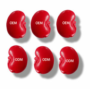 Commercio all'ingrosso modello di organo a forma di rene personalizzato in schiuma PU a forma di sfera di Stress Logo stampato educazione medica per alleviare l'ansia giocattolo da spremere - Product Image 1