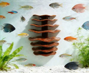 Nuovo Ornamento Irregolare in Resina per Acquario, Rifugio in Argilla <span class=keywords><strong>Viola</strong></span> per Gamberetti, Pesci e Plecostomus - Product Image 4