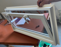 Fenêtres à trémie en vinyle pour sous-sol Fenêtre d'auvent en pvc en verre isolé à double volet avec écran