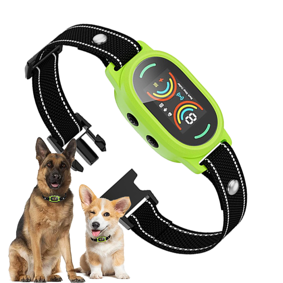 Anti-Barking Device Designer Dog Collar Guide: Types, Usage, Reviews Support