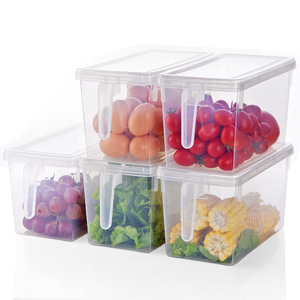 New Large Size Plastic Multi-functional Food Storage Container Organizer Refrigerator Drawer type storage box
