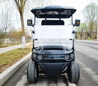 Nuevo Modelo 2025: Carro de Golf Eléctrico de 2 Plazas con 4 Ruedas y Soporte para Bolsa de Pelotas, Buggy Eléctrico para Caza en Venta