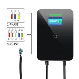 전기 충전기 자동차 스테이션 2 총 22kw cc 2 유형 2 ev 충전기