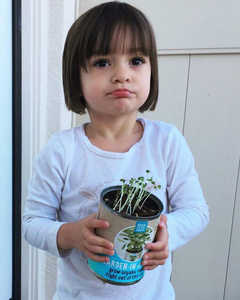 100% Kit de inicio de jardín de hierbas orgánicas para interiores con cilantro de menta de albahaca para cocinar el uso del suelo Regalo perfecto para jardinero - Product Image 5