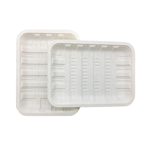 Eco Bioplastic Compostable Take Away Corn Starch Plate for Fruit