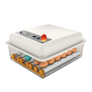 Lồng Ấp Trứng Gà Nhỏ Tự Động 24/30/36 Lồng Ấp Trứng Vịt Tự Động Cho Tự Chế - Product Image 2