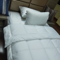 Ensemble de couette d'hôtel blanc en gros, literie de luxe, couette matelassée en microfibre lavable en machine, taille personnalisée