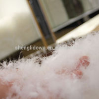 Vente en gros de plumes d'oie blanches matériau de remplissage duvet de coton duvet d'oie