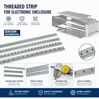 M3 M4 M5 M6 M8 Aluminum Profile Chassis Accessories Stainless Steel Threaded Insert Horizontal Rails Nut Strip for Chemical