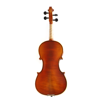 Adult Violin All Solid Wood Violin Profesional with Case