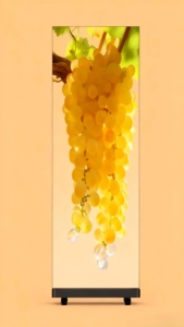 Affichage haute définition de la publicité de LED Digital pour les plazas et les zones de vente au détail commerciaux - Product Image 6