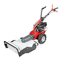 EUROSYSTEMS Tondeuse à gazon "Classic" P55 EVO Largeur de travail du moteur 53cm Tondeuses à gazon à essence à poussée manuelle
