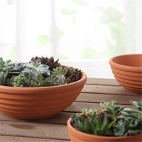 Grosir Pot bunga Mini terakota Spiral mangkuk tanah liat Pot gaya keramik taman dekorasi rumah untuk penggunaan lantai luar ruangan