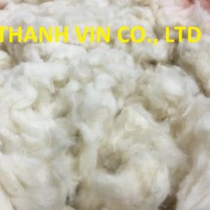 Coton Comber Noil, coton blanchi, déchets de coton-Mme Mira - Product Image 4