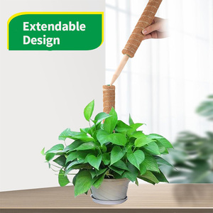 Poste de musgo de coco extensible para plantas de Monstera & Pothos, paquete de suelo ecológico biodegradable con orificio de drenaje - Product Image 4