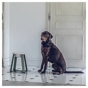 Hot Selling Small Medium Large Dog <b>Cat</b> Pet Stand <b>Bowl</b> Elevated Neck Protection Eco-Friendly Raised Feeder for Comfortable Eating - Product Image 1