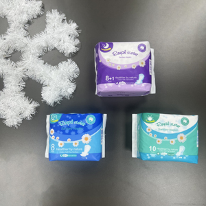 Bio-Watte pads Menstruation binden Serviette Großhandel Frau Hygienic Oem Anion Damen binden - Product Image 4