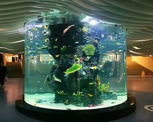 수족관 및 액세서리 원형 수족관 어항 아크릴 수족관 플라스틱 물 물고기 탱크 - Product Image 5