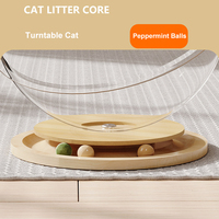 Vente en gros d'usine Maison pour chat Capsule spatiale en acrylique transparente Nid pour chat en bois Lit pour chat semi-fermé Jouet avec 3 petites balles