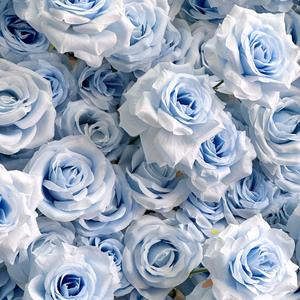 Light Blue Flower Wall Backdrop Backdrop Silk <b>Artificial</b> Decorative Flower Wall Flower Wall for Wedding Stage Decoration - Product Image 6