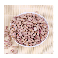 Vente en gros 99% de haricots mouchetés légers de pureté Haricots à sucre bon marché pour la mise en conserve